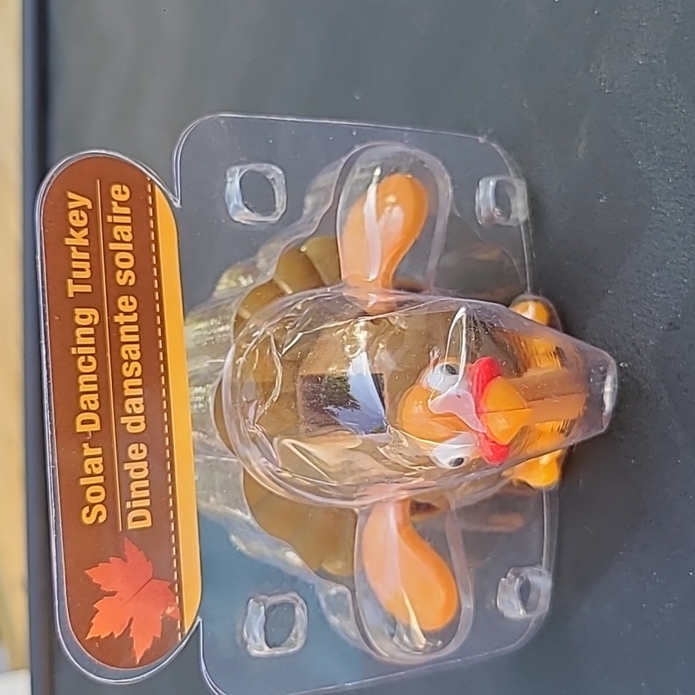Solar dancing turkey